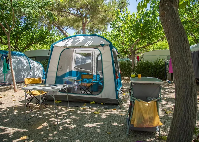 Clara 托里代巴拉