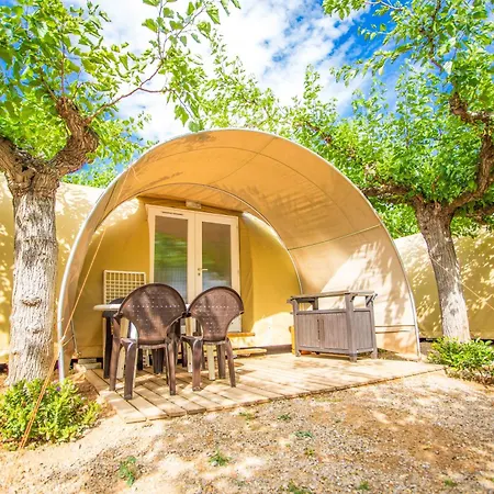 Clara 托里代巴拉