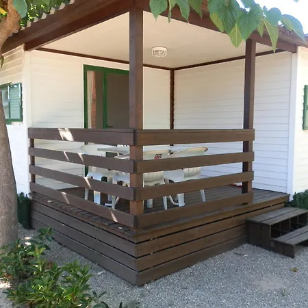 Clara 托里代巴拉