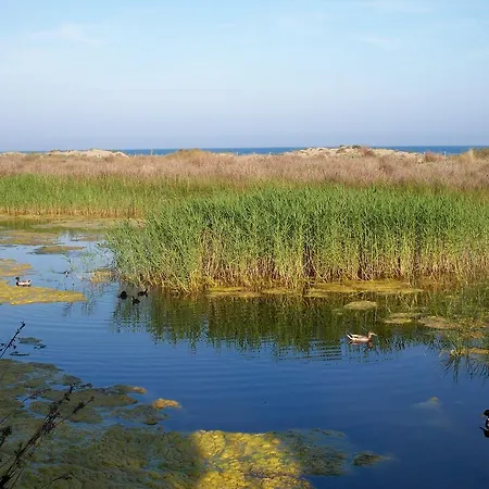 Clara 托里代巴拉