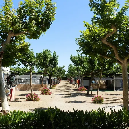 Kamp alanı Clara